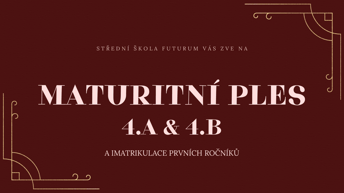 Maturitní ples - stání 